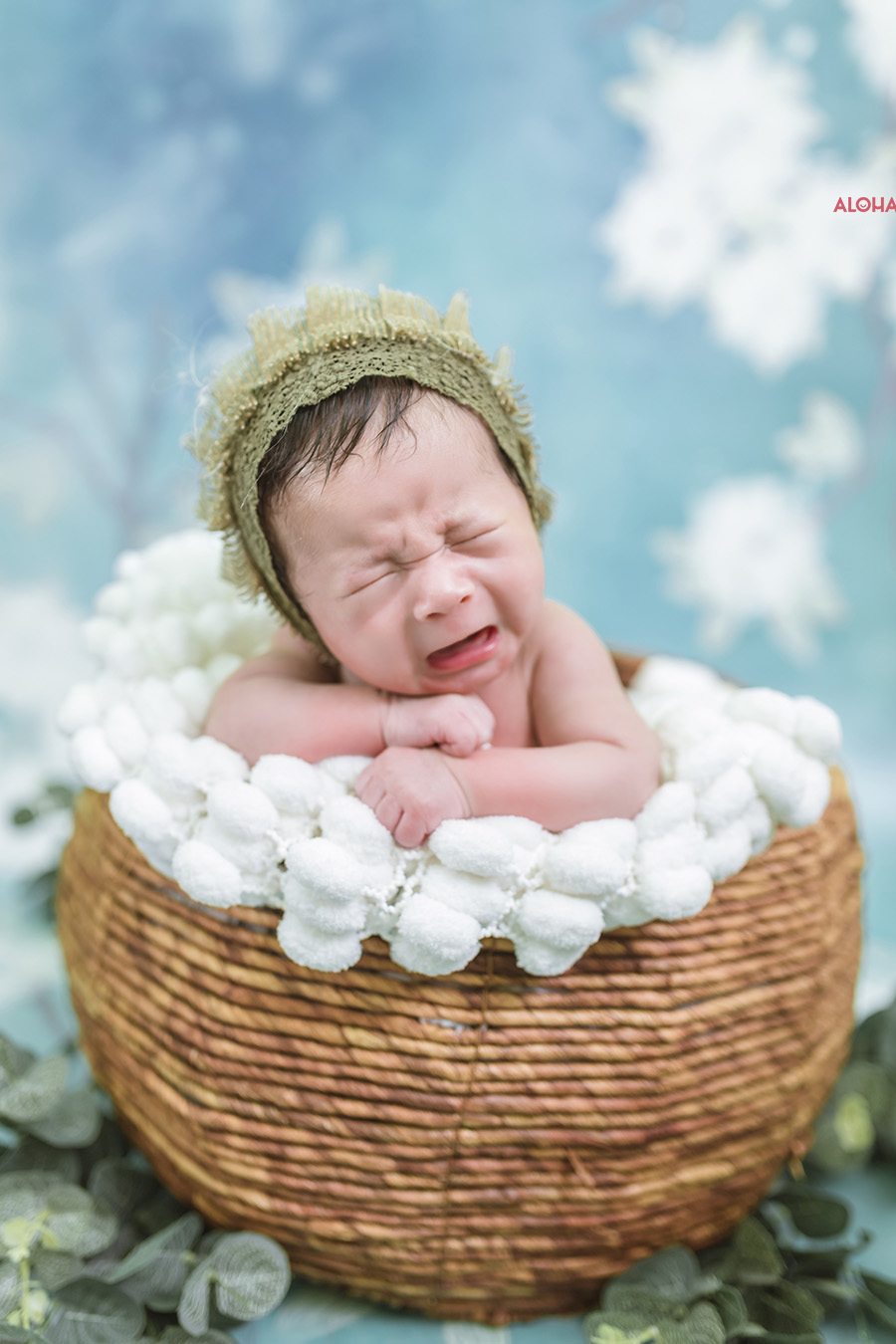 album ảnh newborn 34